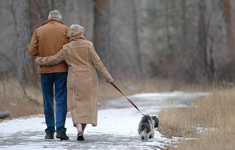 Älteres Paar geht Arm in Arm mit Hund spazieren