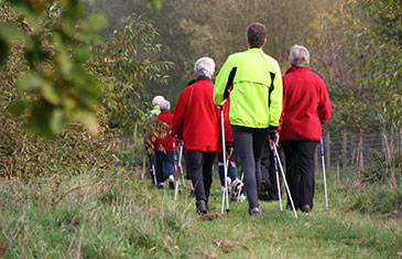 Gruppe älterer Menschen von hinten beim Nordic Walking in der Natur
