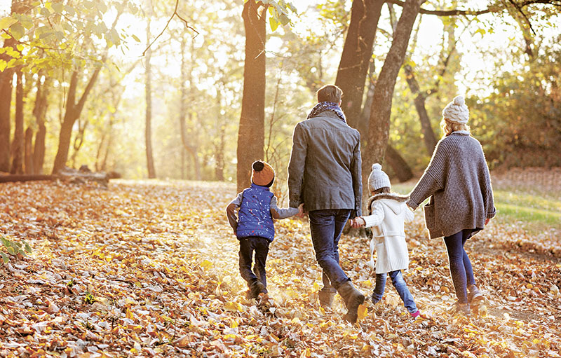 Foto einer Familie mit zwei kleinen Kindern beim Herbstspaziergang im Wald