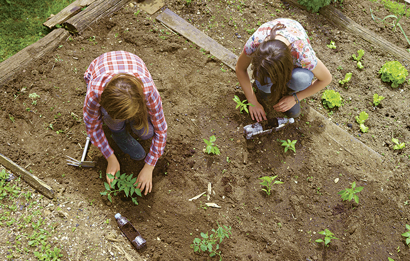 Foto von oben: Zwei Kinder pflanzen Setzlinge in ein Gemüsebeet.