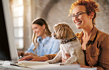 Foto eines kleinen Hundes, der auf dem Schoß einer fröhlichen Büromitarbeitenden sitzt. Daneben sitzt eine lächelnde Kollegin.